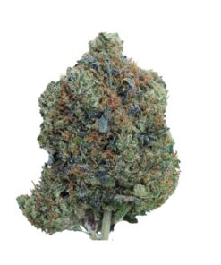 Pink Coast – Indica