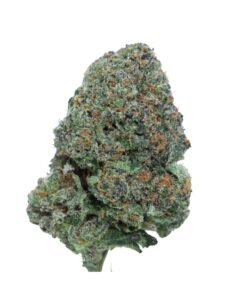 Pink Asteroids – Indica