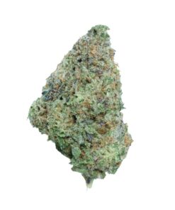 Jack Herer – Sativa