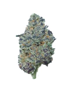 Purple Haze – Hybrid