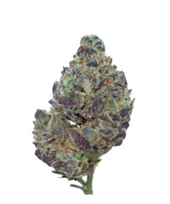 Scooby Snacks – Sativa Scooby Snacks – Sativa