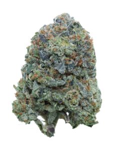 Pink Death – Indica