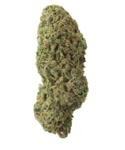 Sour Cookies – Sativa Sour Cookies – Sativa