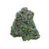 Grand Daddy Purple – Hybrid Grand Daddy Purple – Hybrid