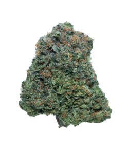 Pink XXX – Indica