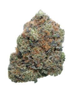 Pink Zombie – Indica