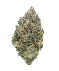 Pink Jedi – Indica
