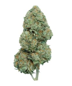 Miami Pink – Indica