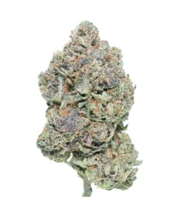 Pink Lean – Indica