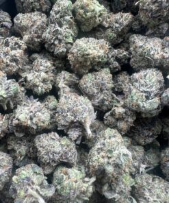 Pink Gas Mask LSO Premium Smalls – Indica