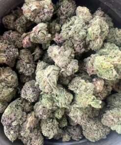 Mega Pink Smalls – Indica