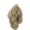Maui Wowie – Sativa Maui Wowie – Sativa