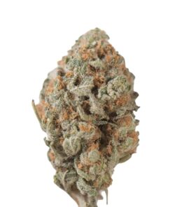 Tangie – Sativa