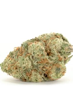 White Truffles – Hybrid