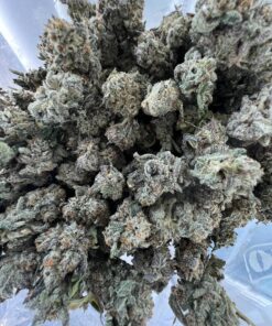 White Freezie Smalls – Hybrid