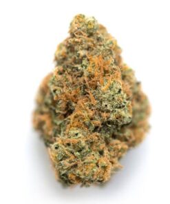 Orange Diesel – Hybrid