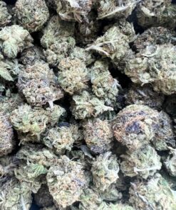 Mega Man OG Smalls – Indica