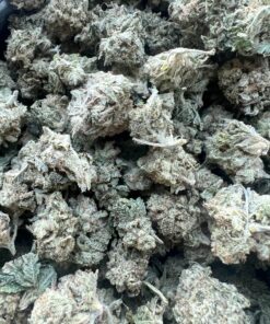 Gas Mask Smalls – Indica