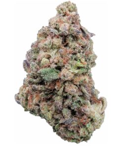 Glitter Bomb – Sativa