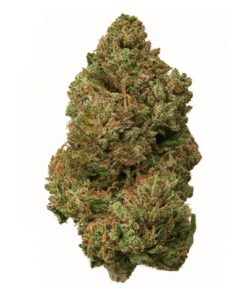 Garlic Bubba – Hybrid