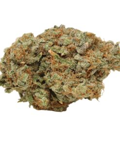 God’s Green Crack – Sativa