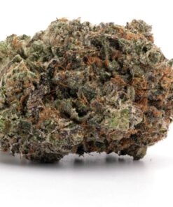 Pink Poison – Indica