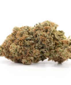 Honeydew Haze – Hybrid