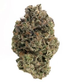 Pink Zilla – Indica