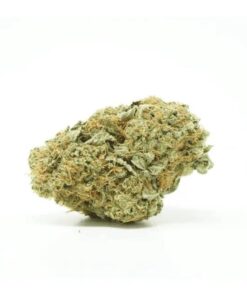 Goudaberry – Indica