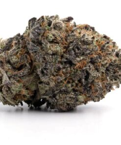 Garlic Sherb – Hybrid