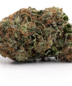 IMAGE 2024 11 27 142924 247x296 - What happened to Quadzilla Cannabis? - Medispensary Comparison