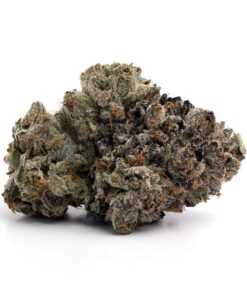 Pink Bubba LSO – Indica