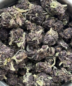 IMAGE 2025 01 14 15:43:53