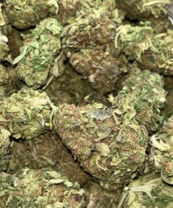 Blueberry OG AA – Sativa Blueberry OG AA – Sativa