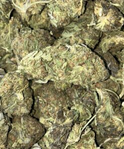 IMAGE 2025 01 14 15:53:05