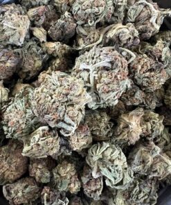 Jungle Mintz AA – Hybrid