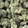 Pink Miami – Indica Pink Miami – Indica