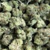 Pink Miami – Indica Pink Miami – Indica