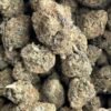 Pink Comet – Indica Pink Comet – Indica