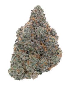 Best Same-Day Weed Delivery in Ajax IMAGE 2025 02 07 174136 247x296 - Best Same-Day Weed Delivery in Ajax