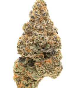 Best Same-Day Weed Delivery in Ajax IMAGE 2025 02 07 174500 247x296 - Best Same-Day Weed Delivery in Ajax