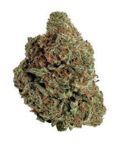 Best Same-Day Weed Delivery in Ajax IMAGE 2025 02 07 174653 247x296 - Best Same-Day Weed Delivery in Ajax
