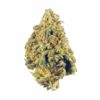 Strawberry Chocolate – Hybrid *Valentines Day Special* Strawberry Chocolate – Hybrid *Valentines Day Special*