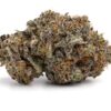 Island Pink LSO – Indica