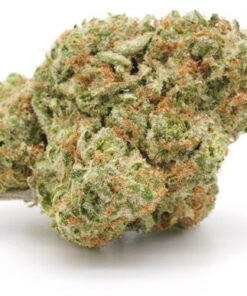 El Blanco AA – Hybrid