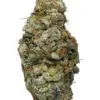 1G Quad Pre- Roll 1G Quad Pre- Roll