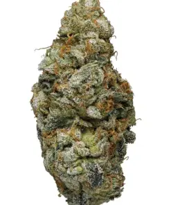 Cali Bricks – Hybrid Cali Bricks – Hybrid