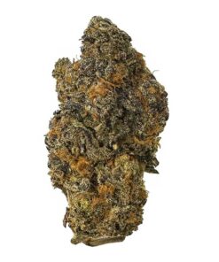 Bacio Gelato – AAA+  – $150/Oz