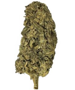 Blueberry Pie – AA+ – $70/Oz