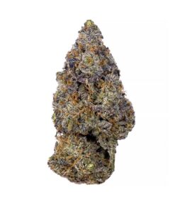 Coastal Pink – AAA+